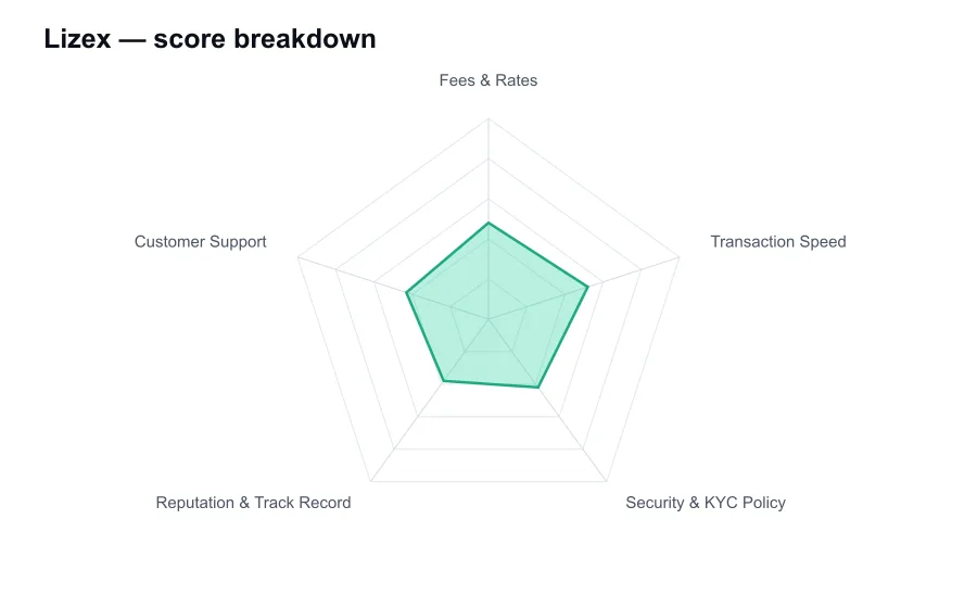 Lizex score breakdown by criterion, shown as a radar chart