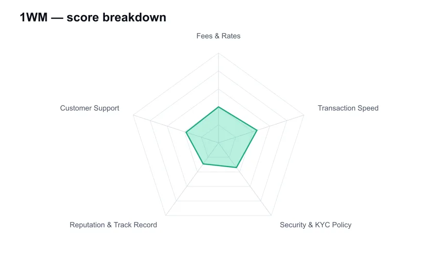 1WM score breakdown by criterion, shown as a radar chart
