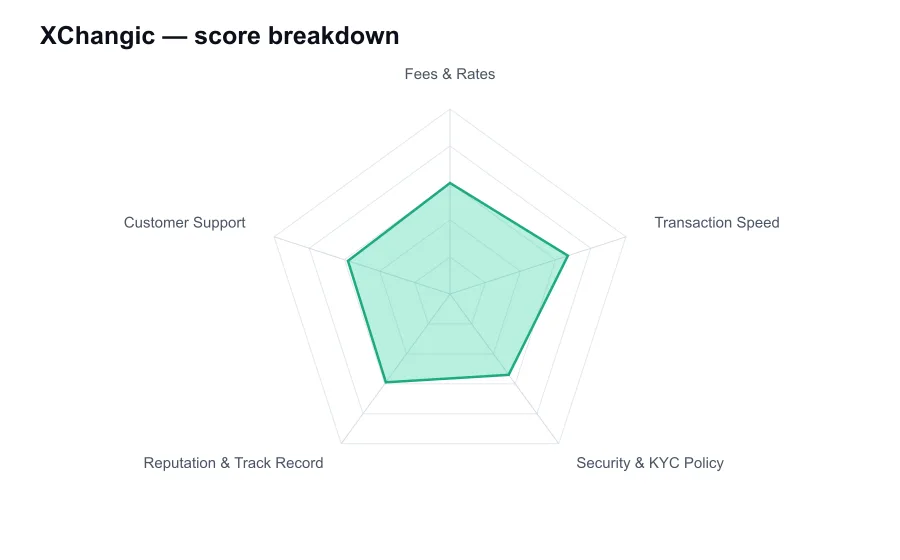 XChangic score breakdown by criterion, shown as a radar chart